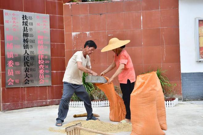 个县城创造罚款收入下降“奇迹”开元棋牌政府大楼旁可以摆摊这(图6)