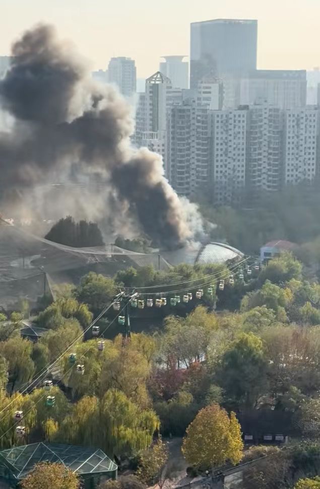 火无伤亡施工用火不慎引燃屋顶开元棋牌郑州动物园鸟语林起